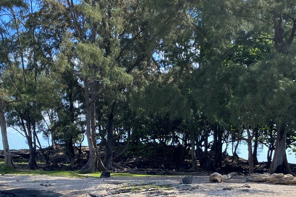 Photo of Others in Keaukaha