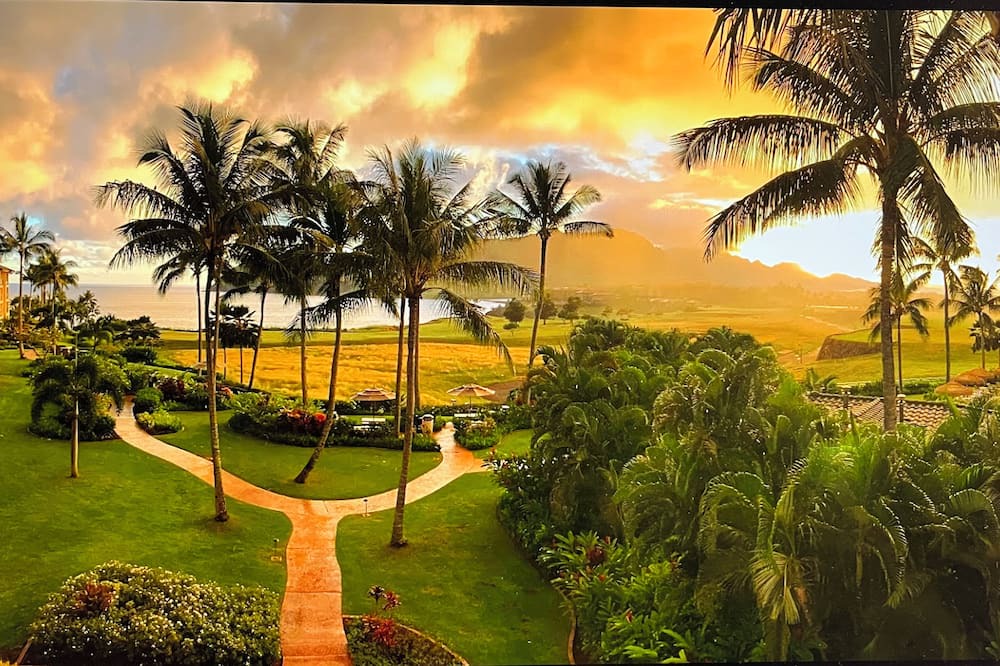 Photo of Outdoor in Lihue