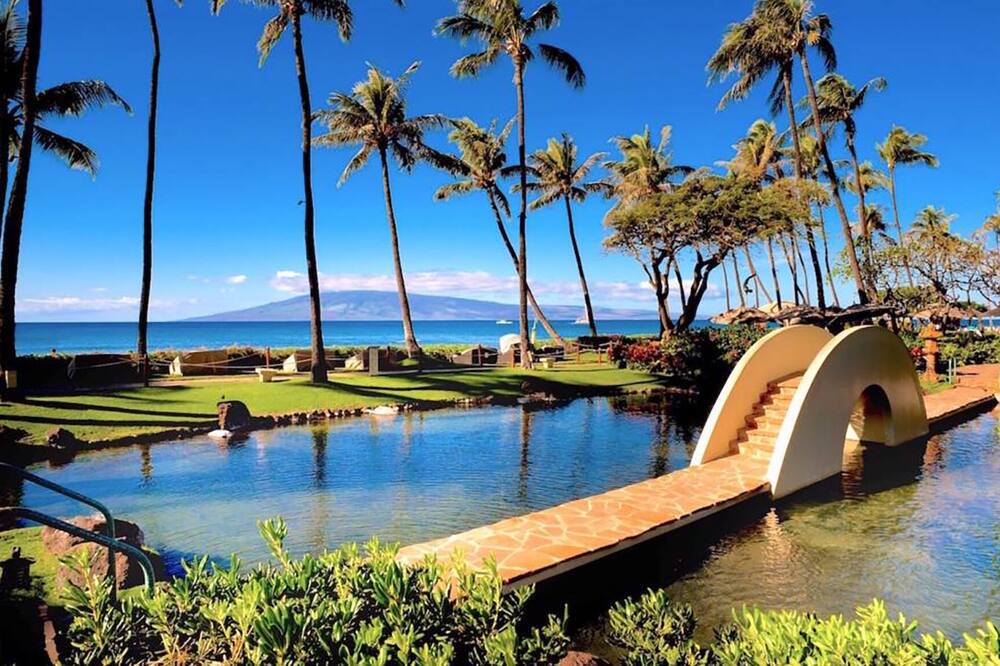 Photo of Outdoor in Lahaina
