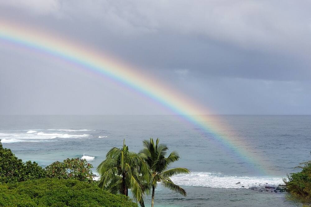 Photo of Others in Hilo