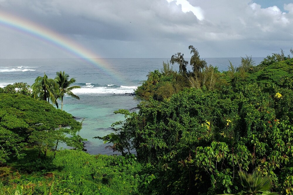 Photo of Others in Hilo