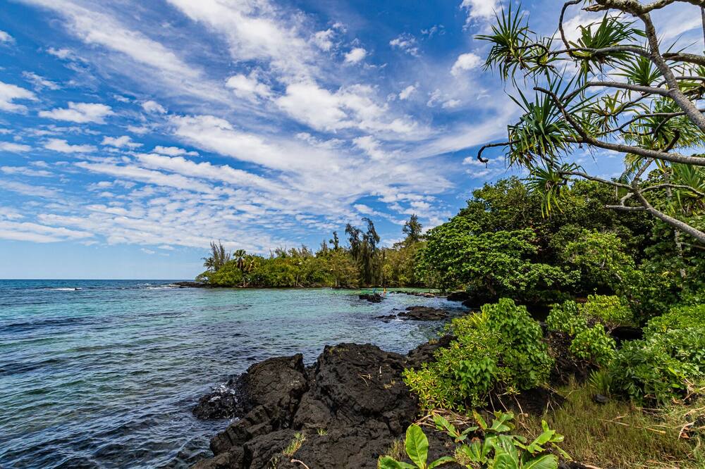 Photo of Others in Hilo