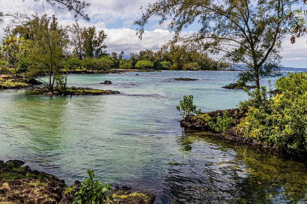 Photo of Others in Hilo