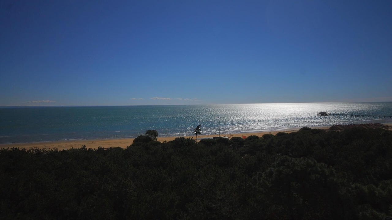 Photo of Others in Lignano Pineta