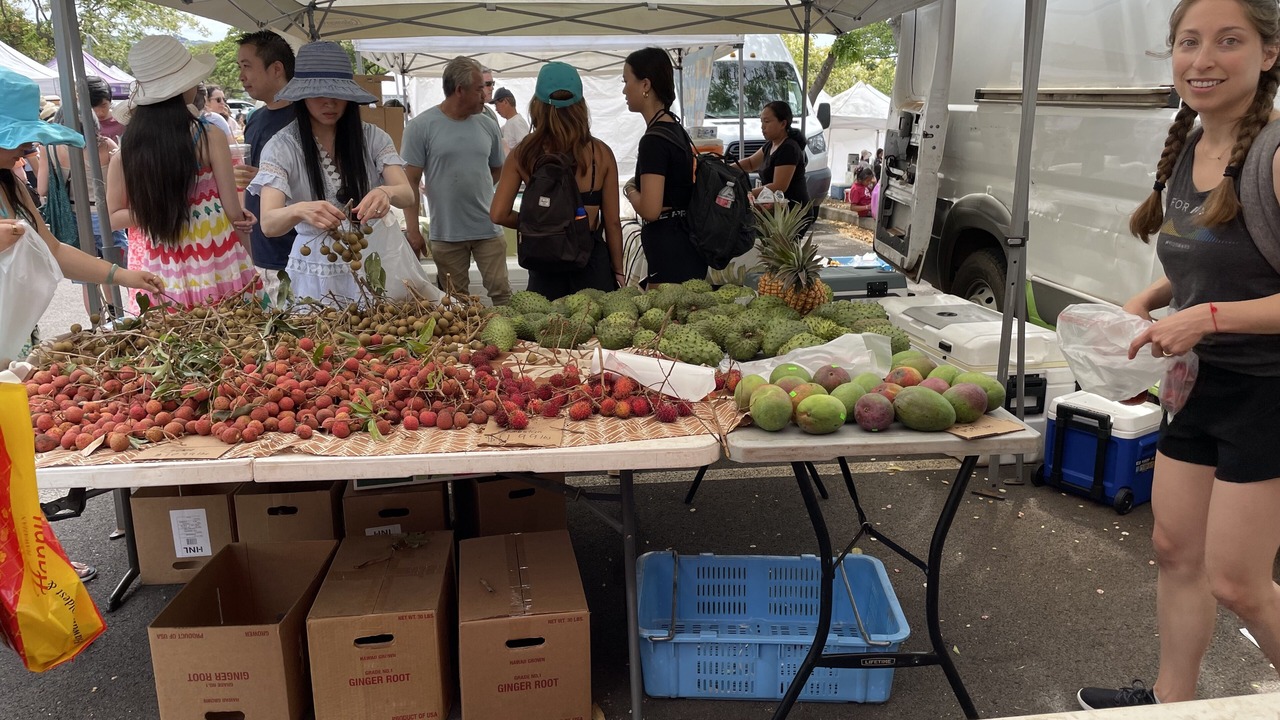 Photo of Outdoor in Diamond Head - Kapahulu - St. Louis