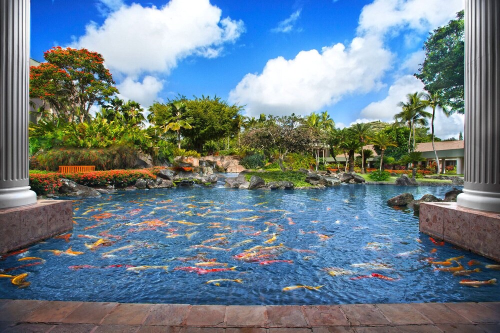 Photo of Others in Lihue