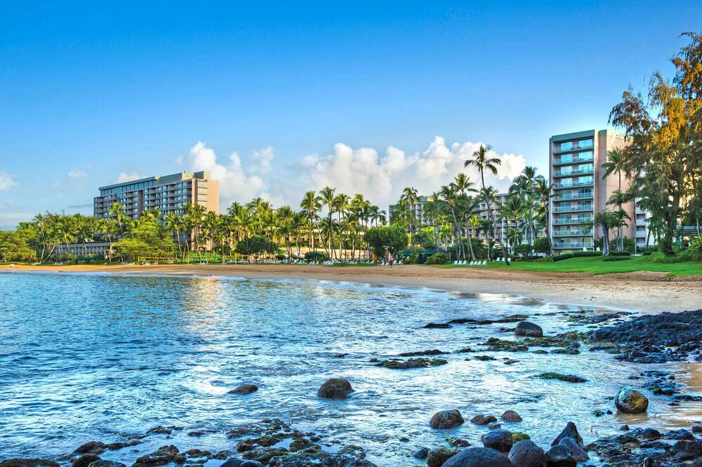 Photo of Others in Lihue