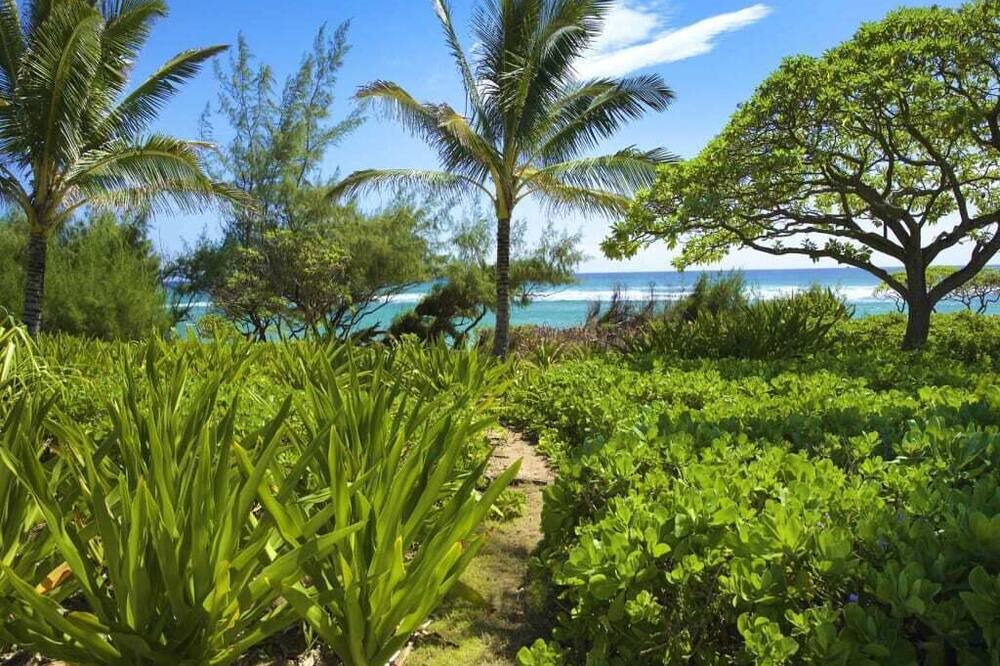 Photo of Outdoor in Lihue