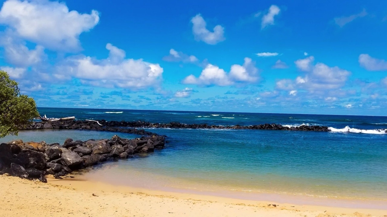 Photo of Others in Wailua