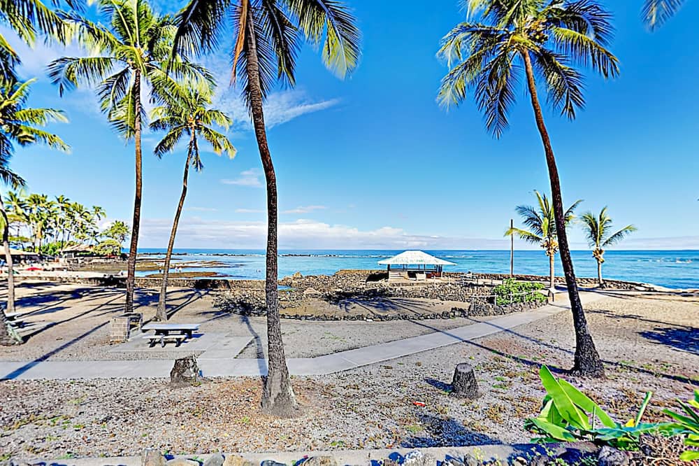 Photo of Others in Kahaluu Bay