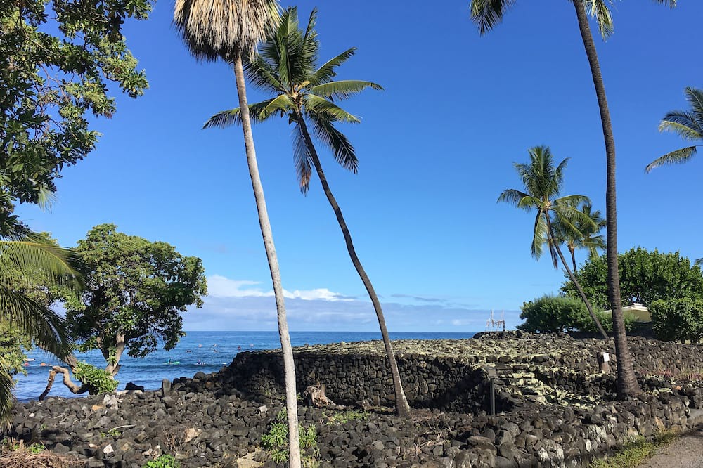 Photo of Others in Kahaluu Bay