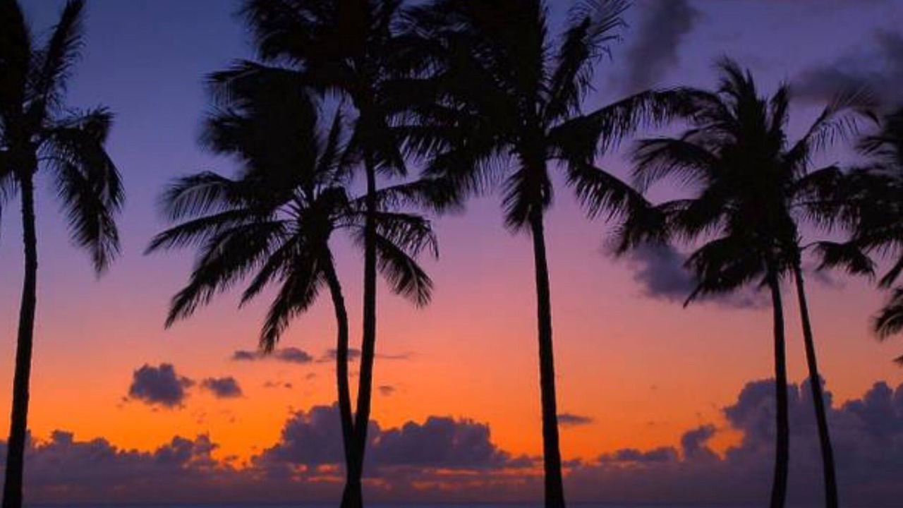 Photo of Others in Waikoloa Village
