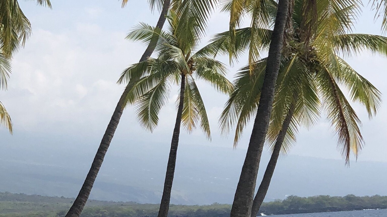Photo of Others in Waikoloa Village