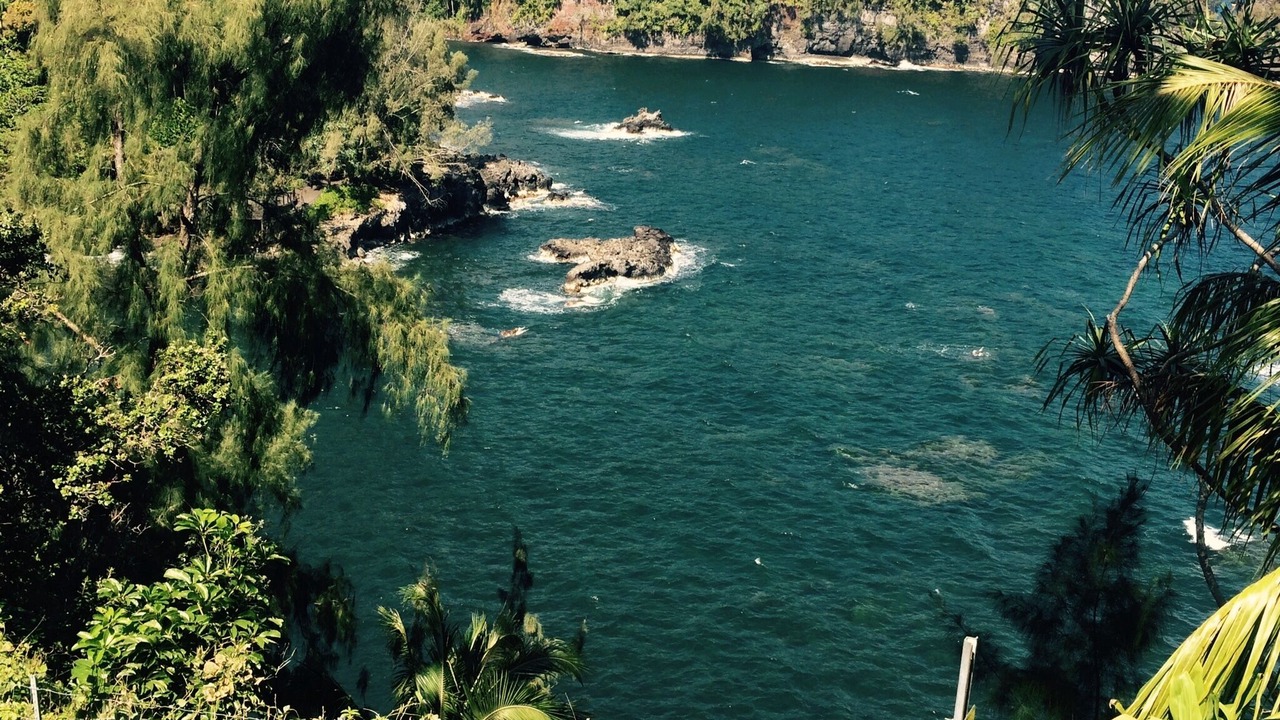 Photo of Others in Waikoloa Village