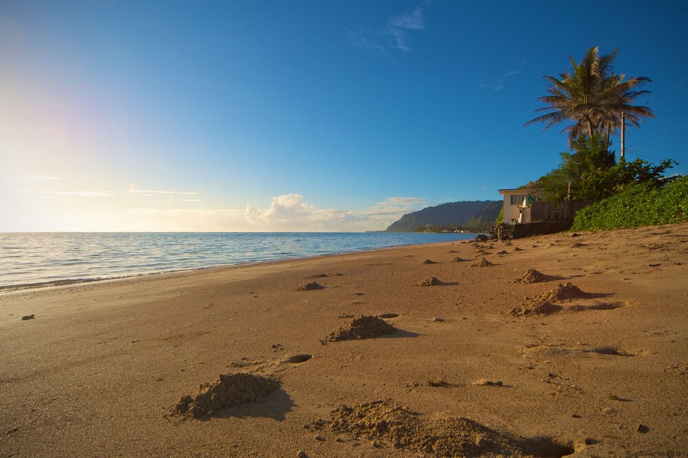 Photo of Others in Hauula