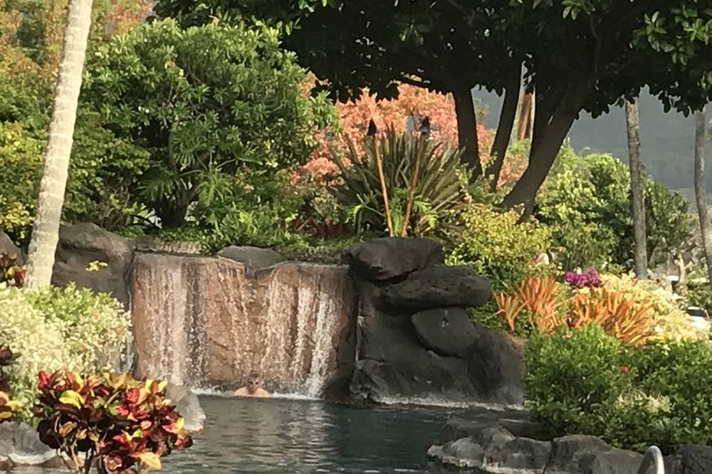 Photo of Outdoor in Wailua