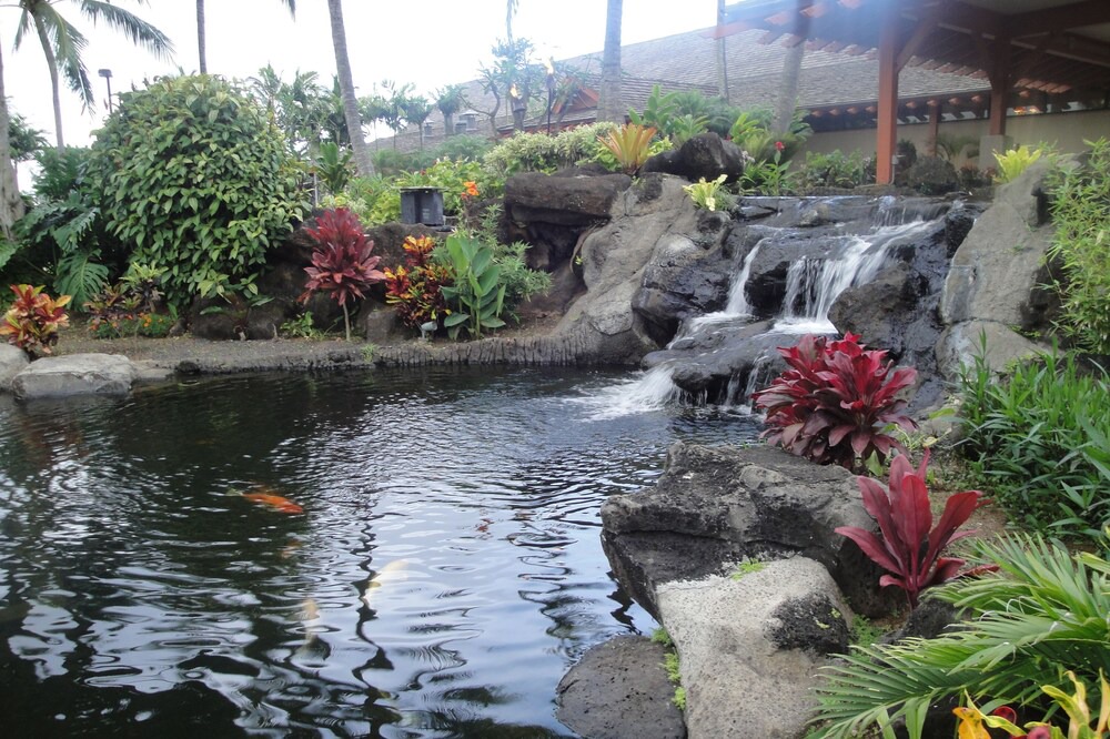 Photo of Others in Wailua
