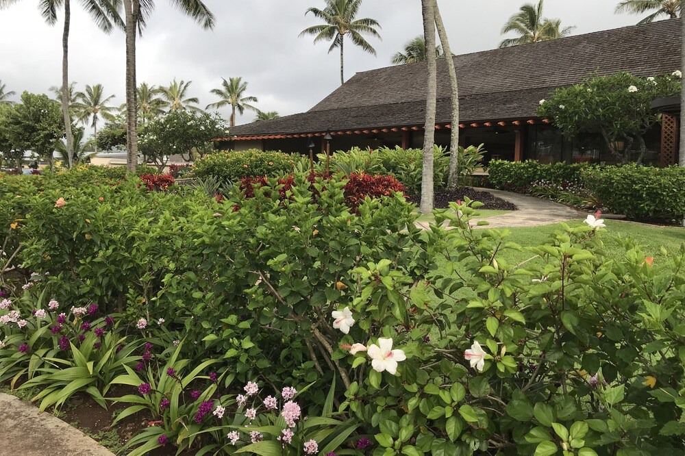 Photo of Others in Wailua