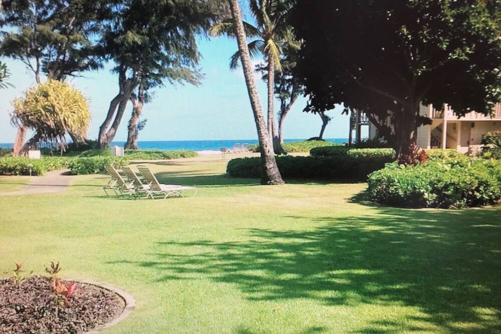 Photo of Others in Wailua