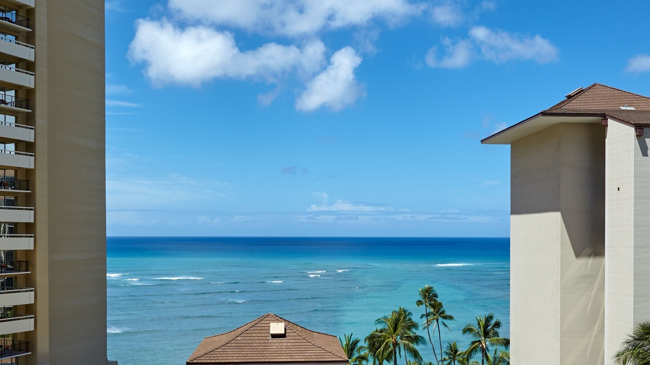 Photo of Others in Waikiki