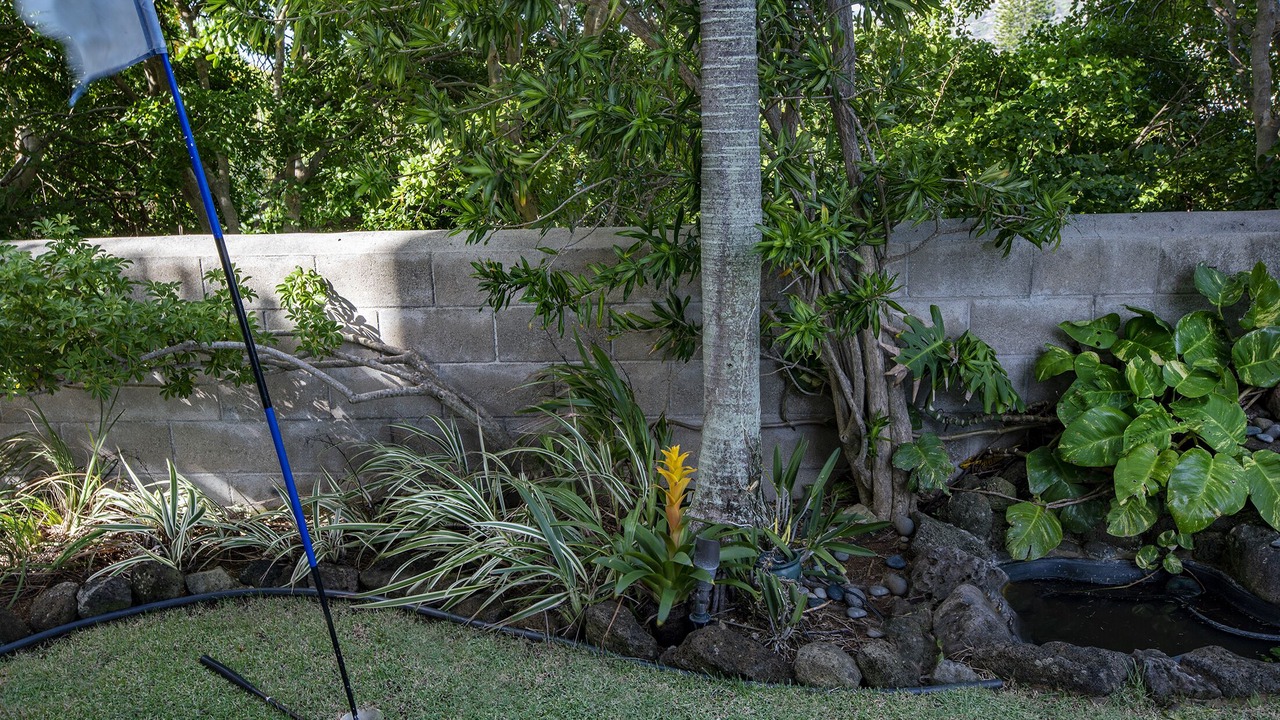 Photo of Outdoor in Hawaii Kai