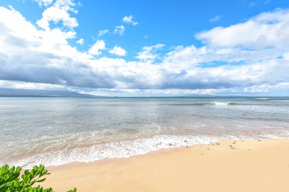 Photo of Others in Maalaea