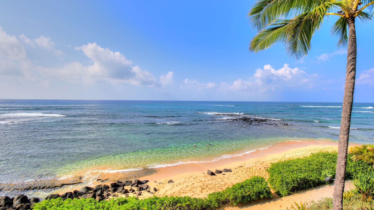 Photo of Others in Poipu