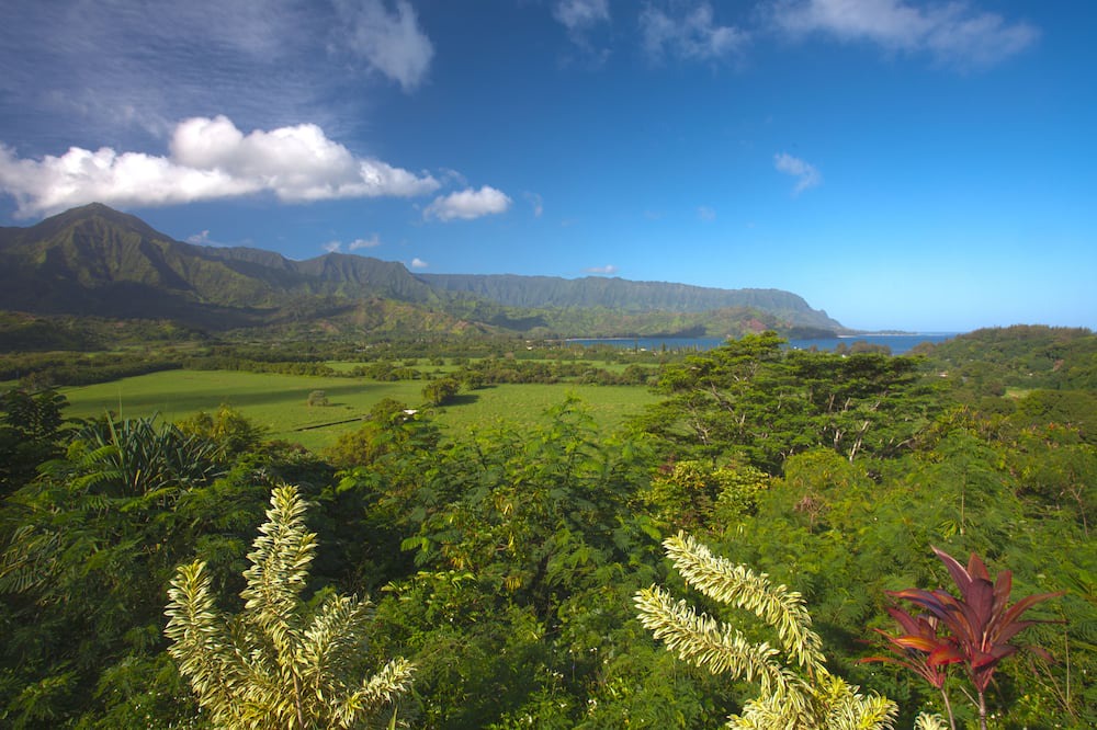 Photo of Others in Princeville