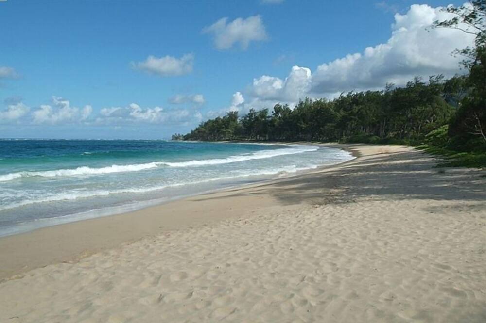Photo of Others in Laie