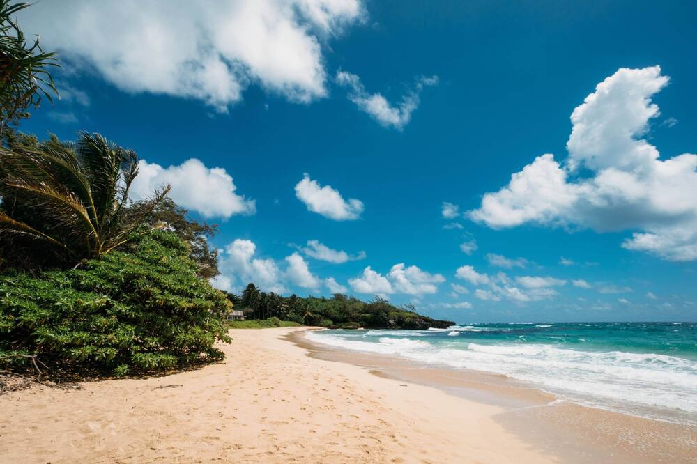 Photo of Outdoor in Laie