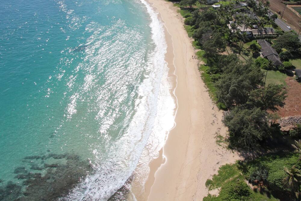 Photo of Others in Laie