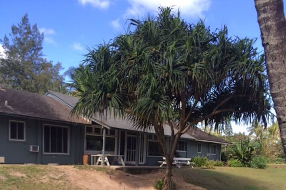 Photo of Outdoor in Laie