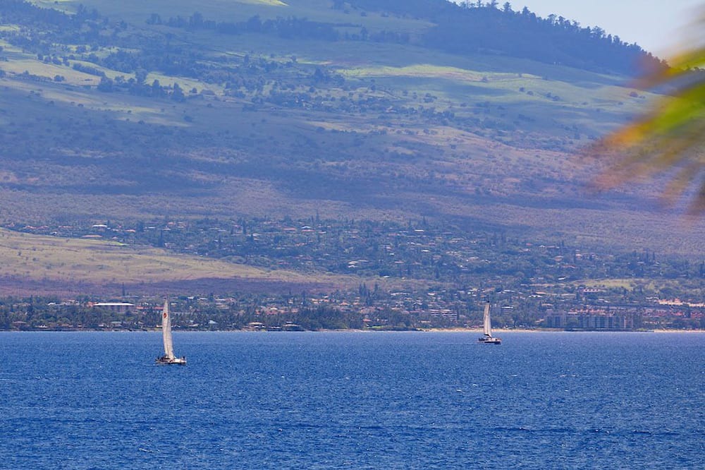Photo of Others in Maalaea