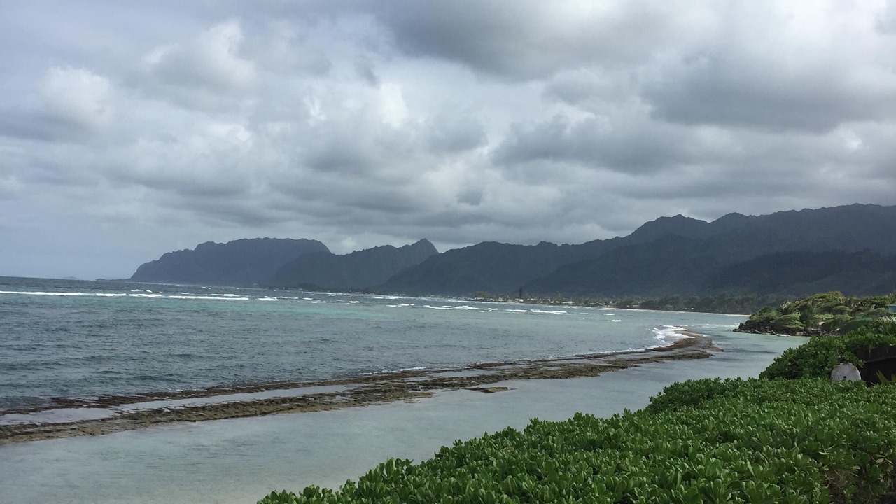 Photo of Others in Laie