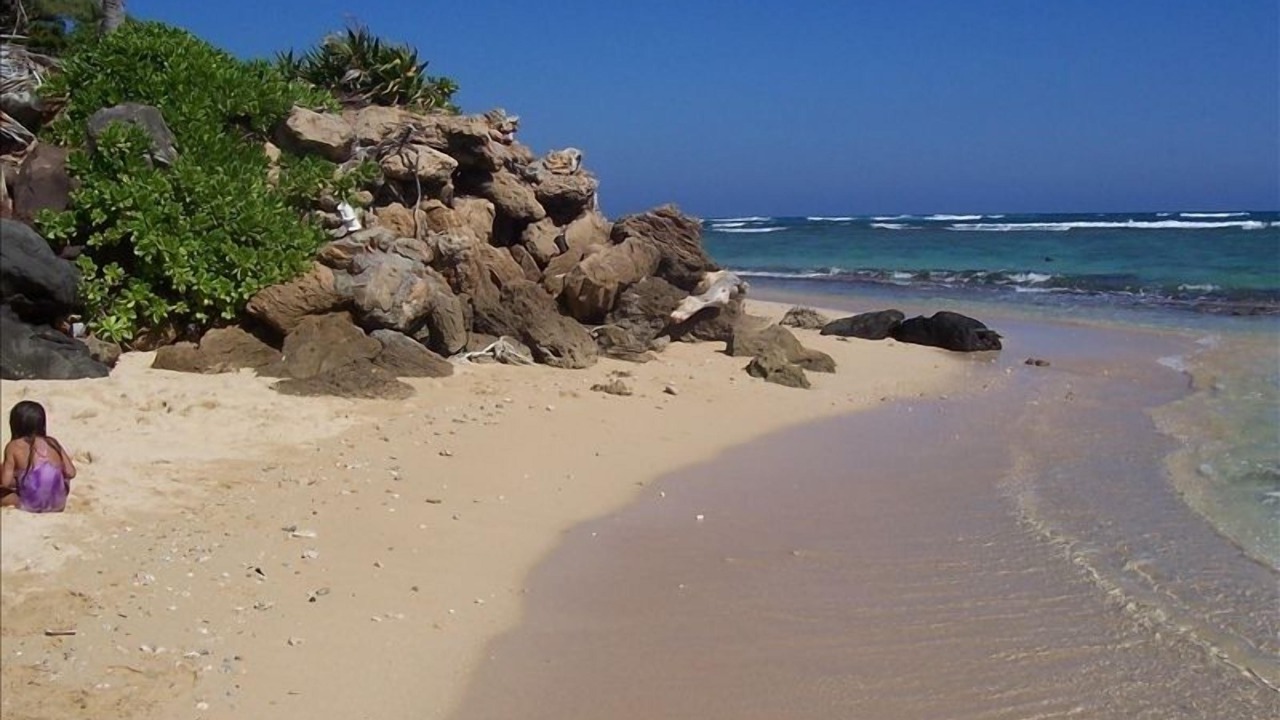 Photo of Others in Laie