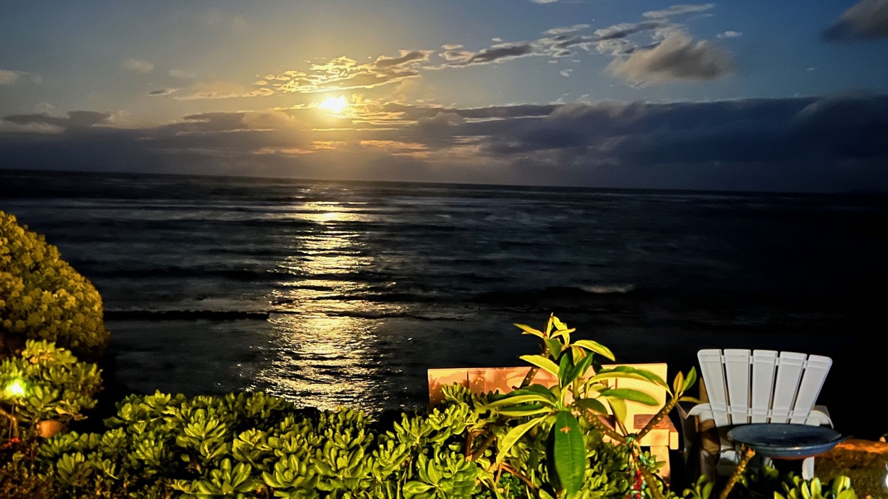 Photo of Outdoor in Laie