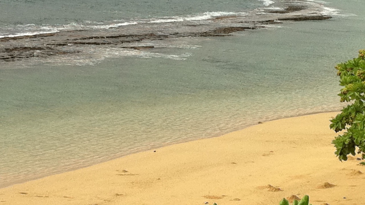 Photo of Others in Laie