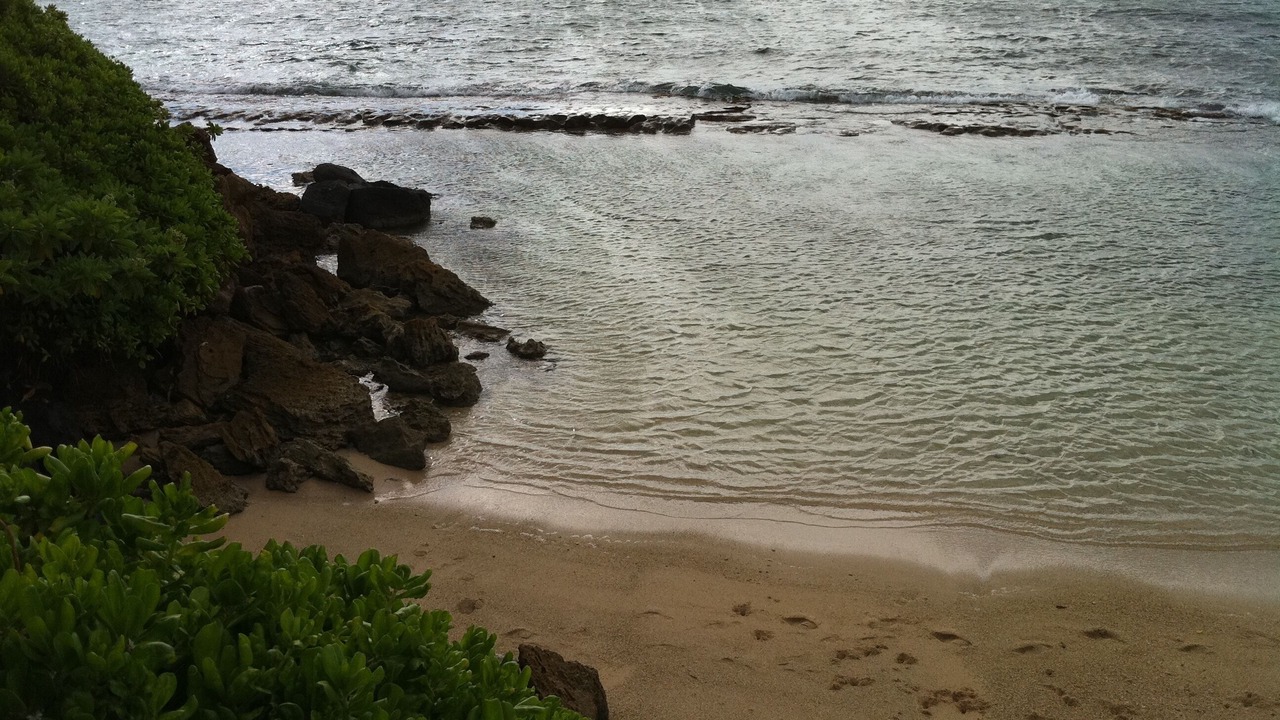 Photo of Others in Laie