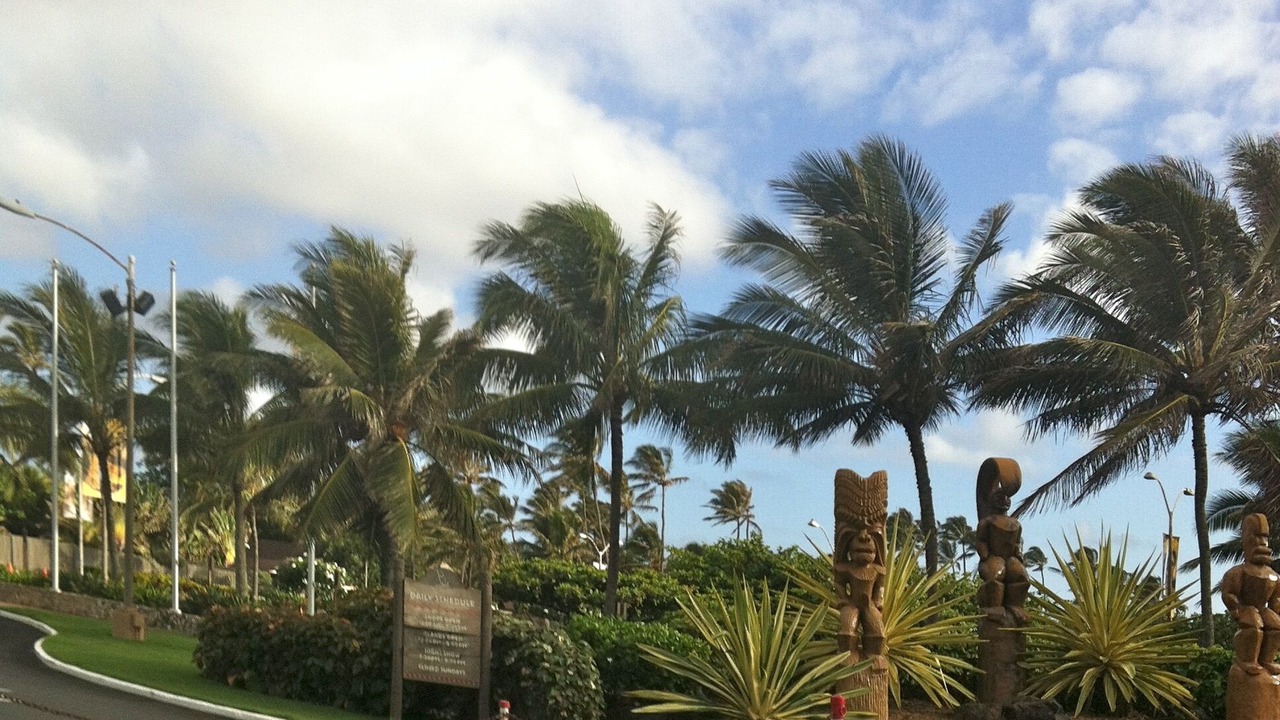 Photo of Others in Laie