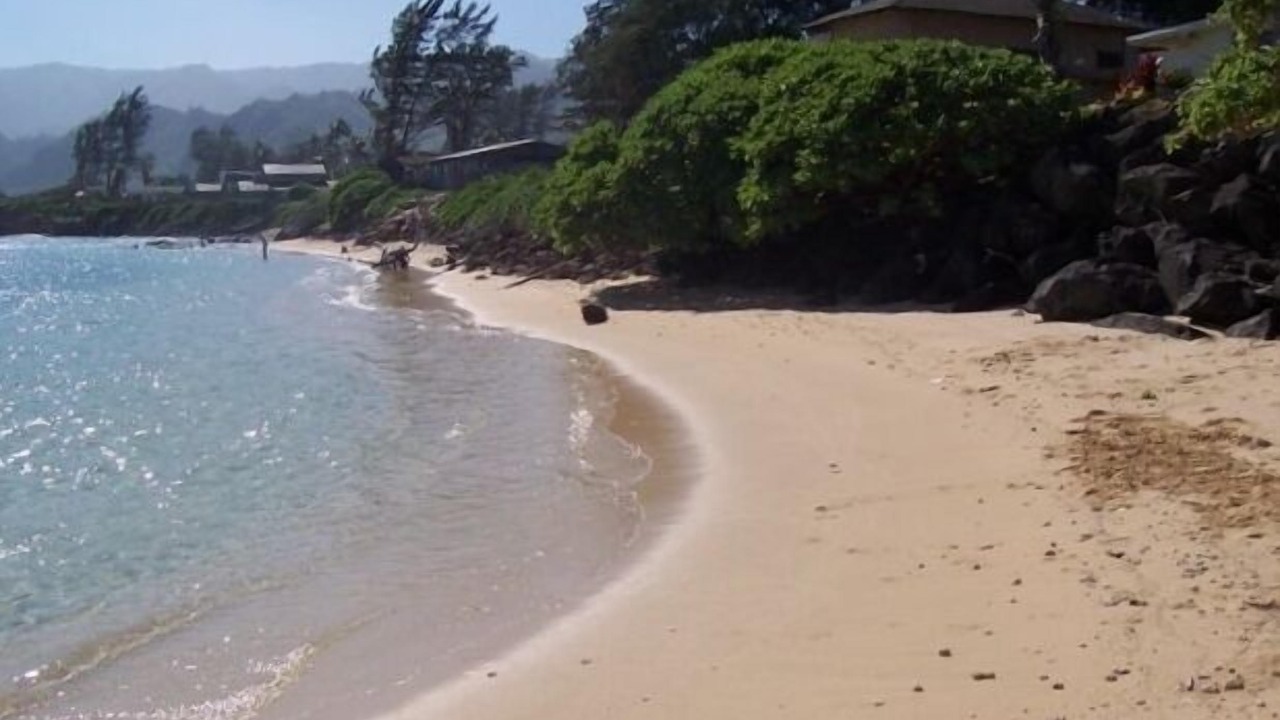 Photo of Others in Laie