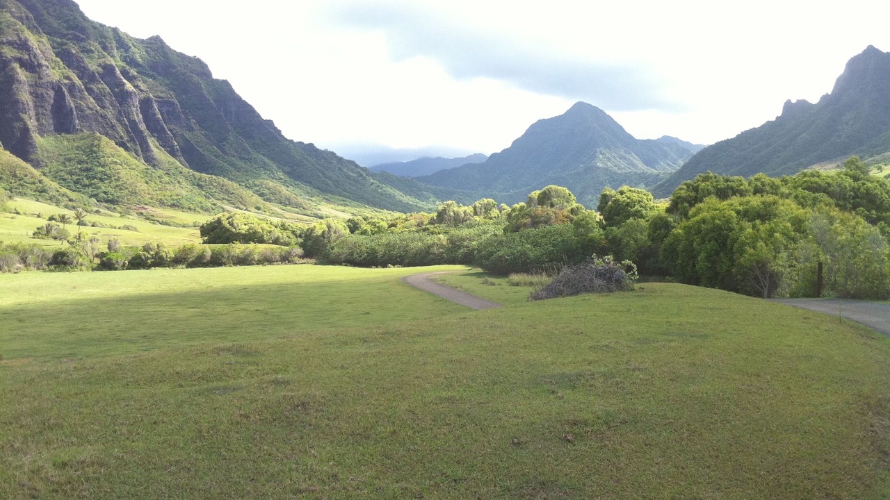 Photo of Others in Laie