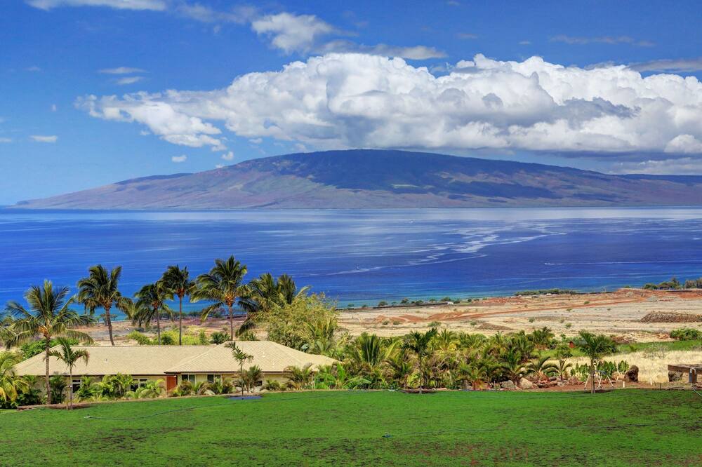 Photo of Others in Historic Lahaina Front Street