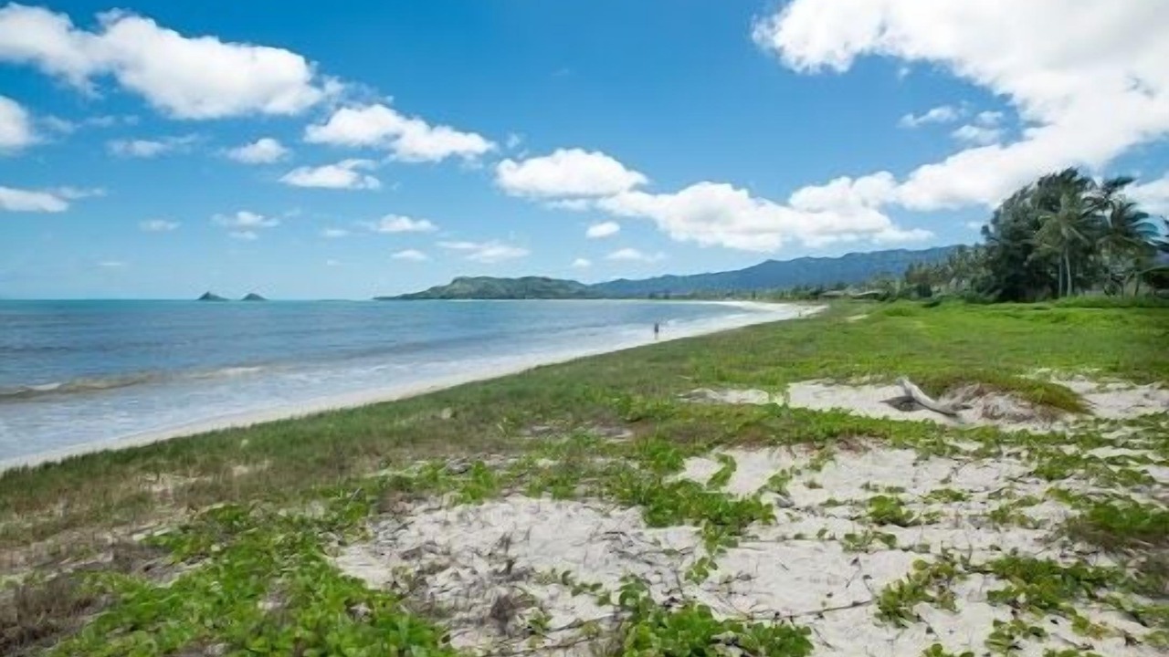 Photo of Others in Kailua