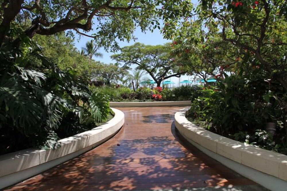 Photo of Outdoor in Waikiki