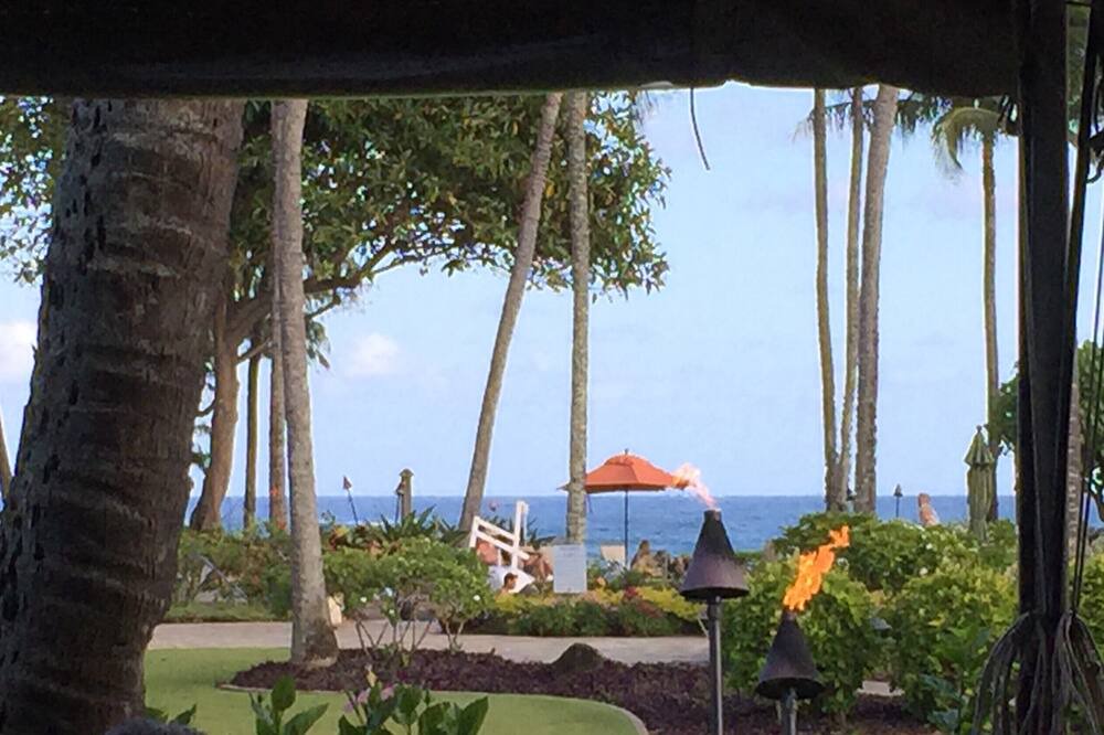 Photo of Others in Wailua