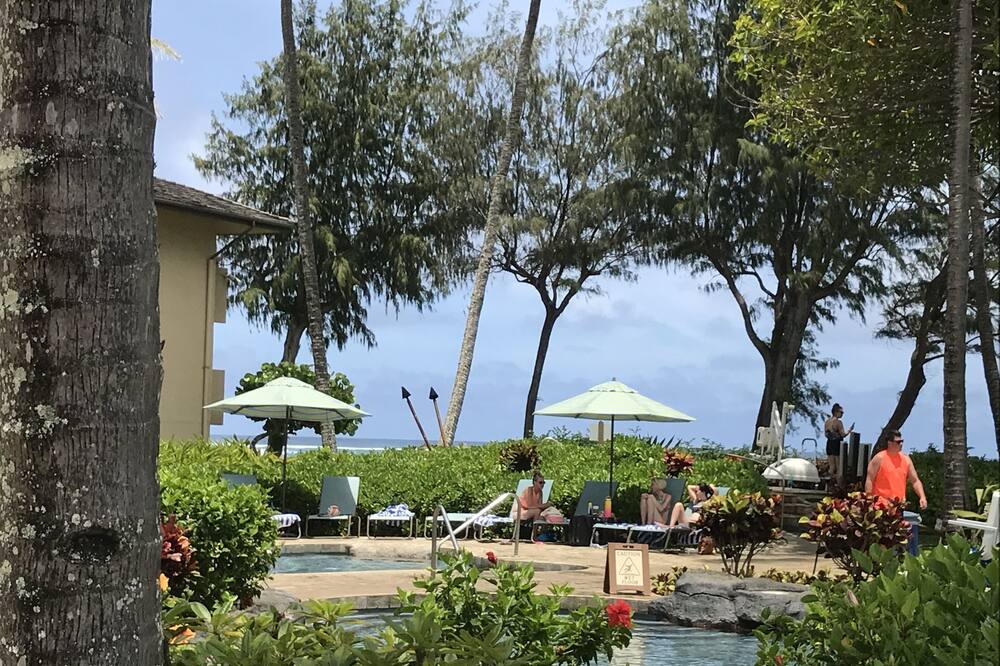 Photo of Outdoor in Wailua