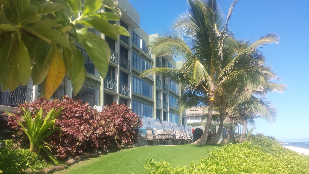 Photo of Outdoor in Mokuleia