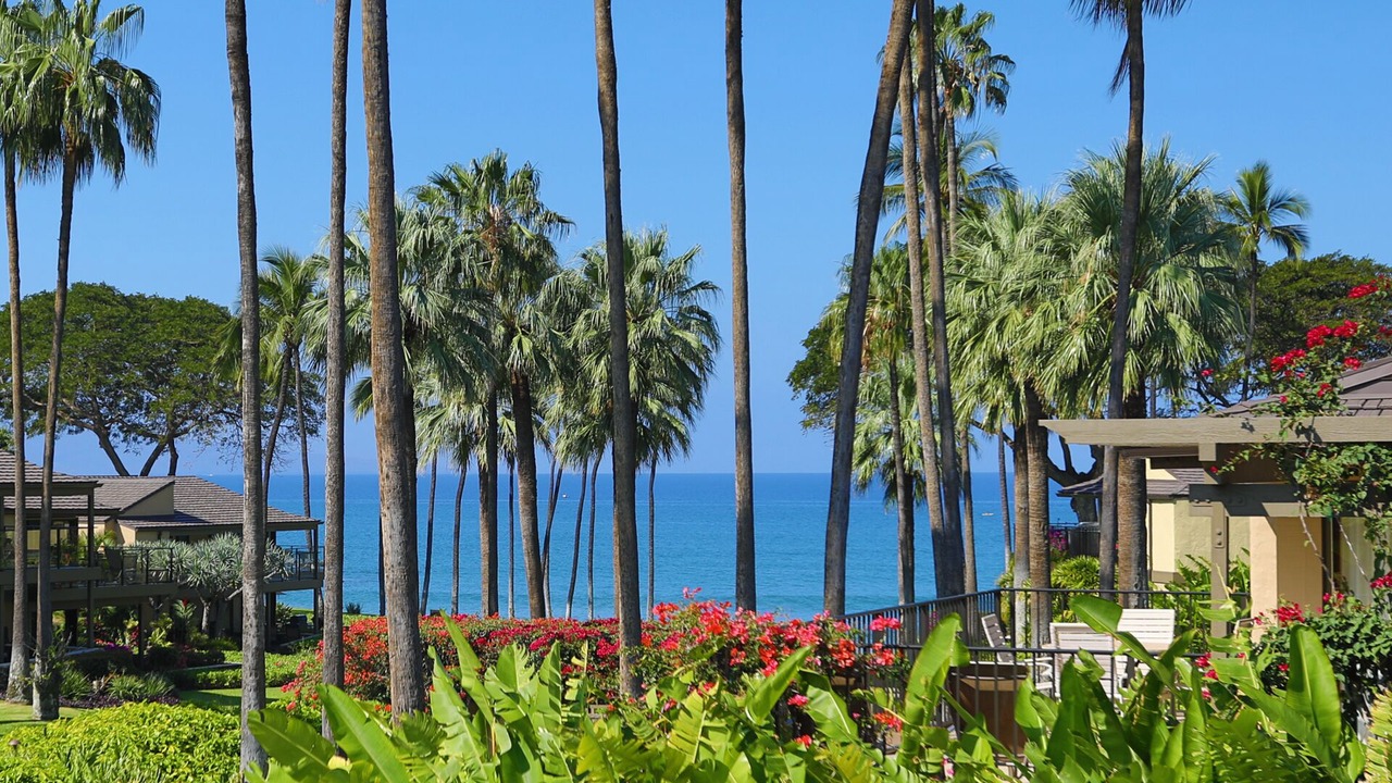 Photo of Outdoor in Wailea