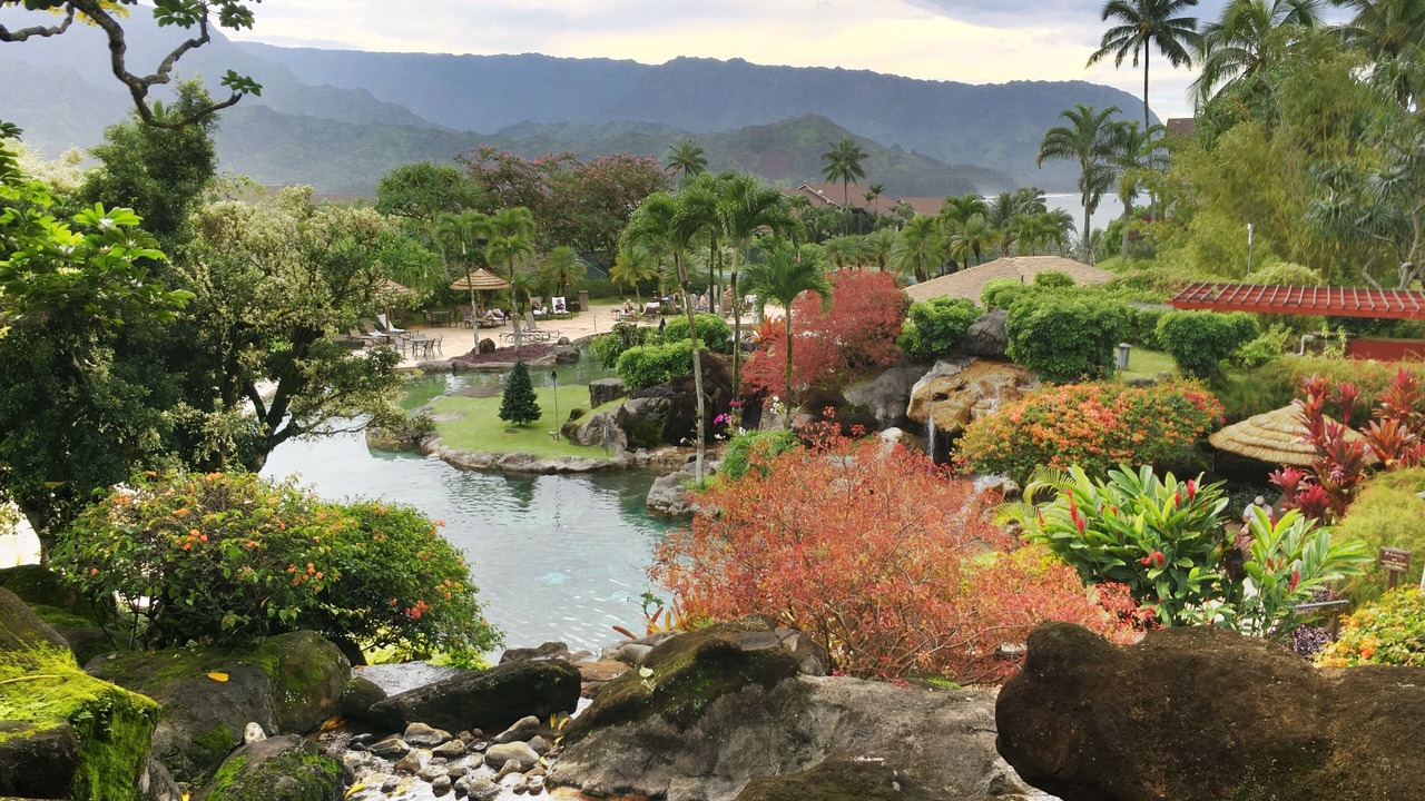 Photo of Outdoor in Princeville