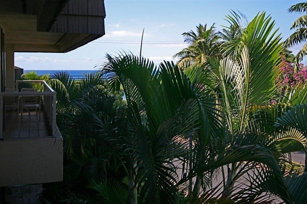 Photo of Others in Kihei